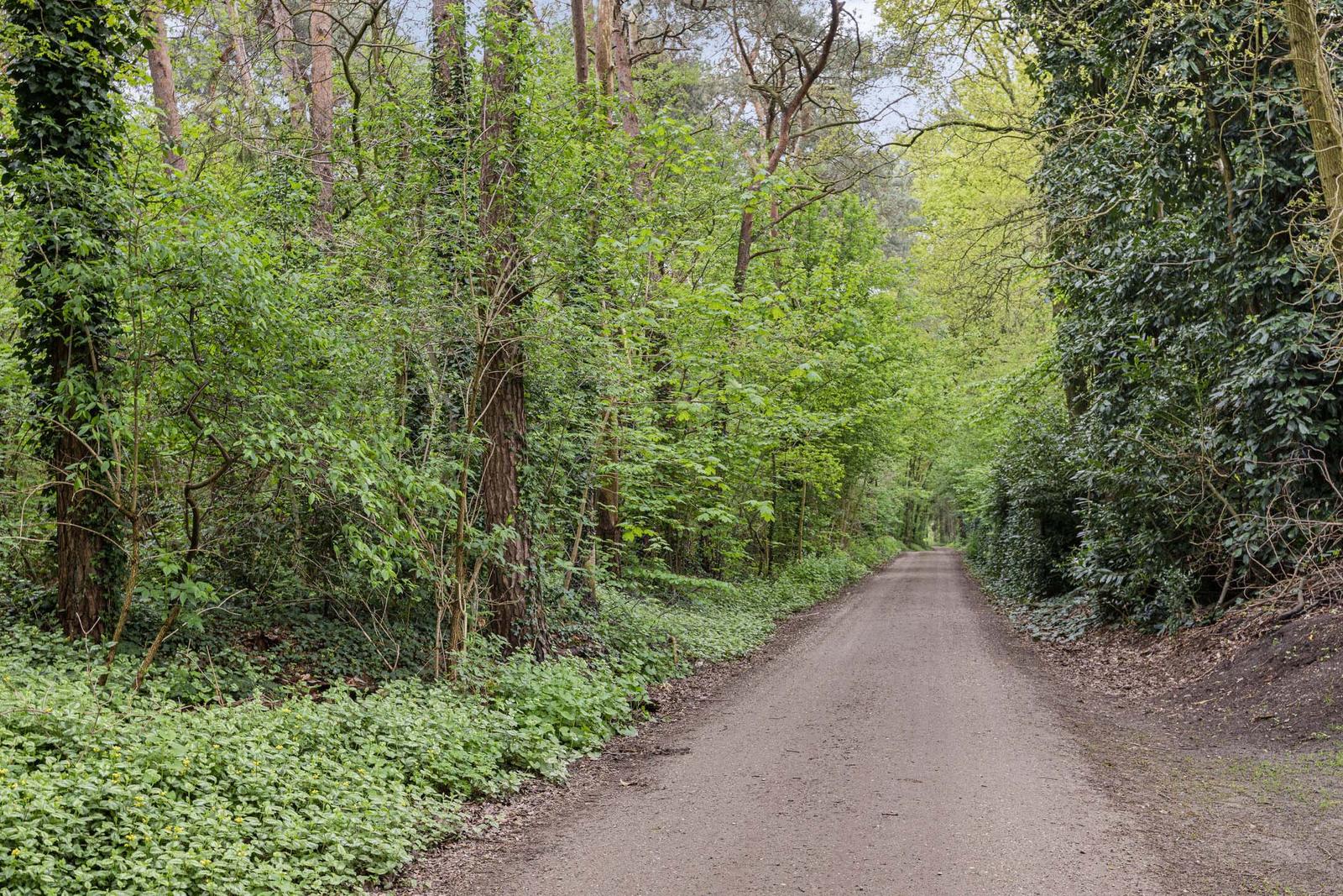 Het Groen 50, Knegsel – foto 46 van 47