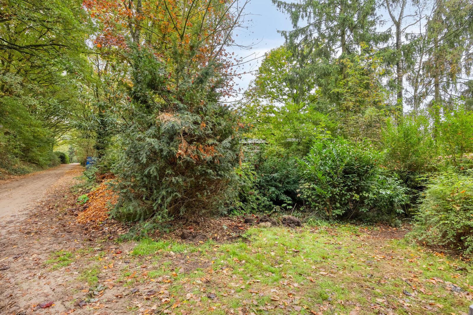 Het Groen 9, Knegsel – foto 29 van 33